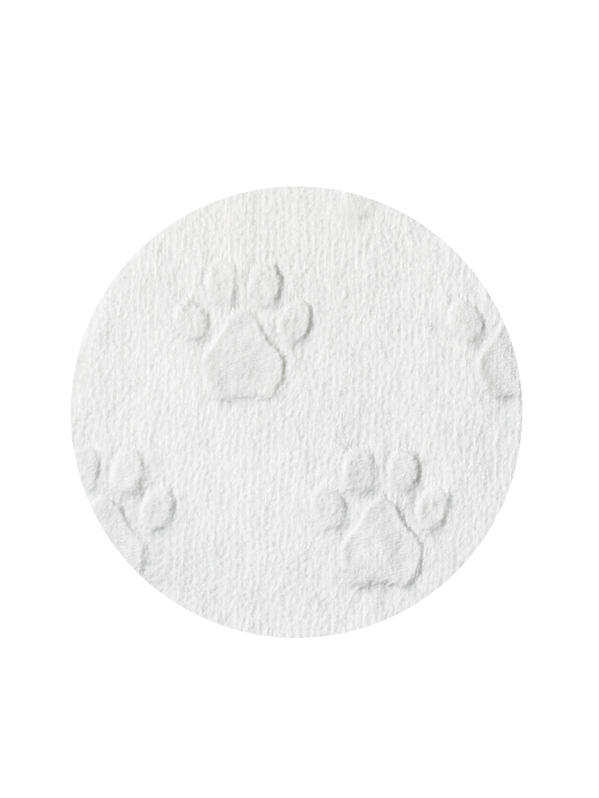 Centellian24 Īpaši attīrošs spilventiņš ar reljefu (60pad)